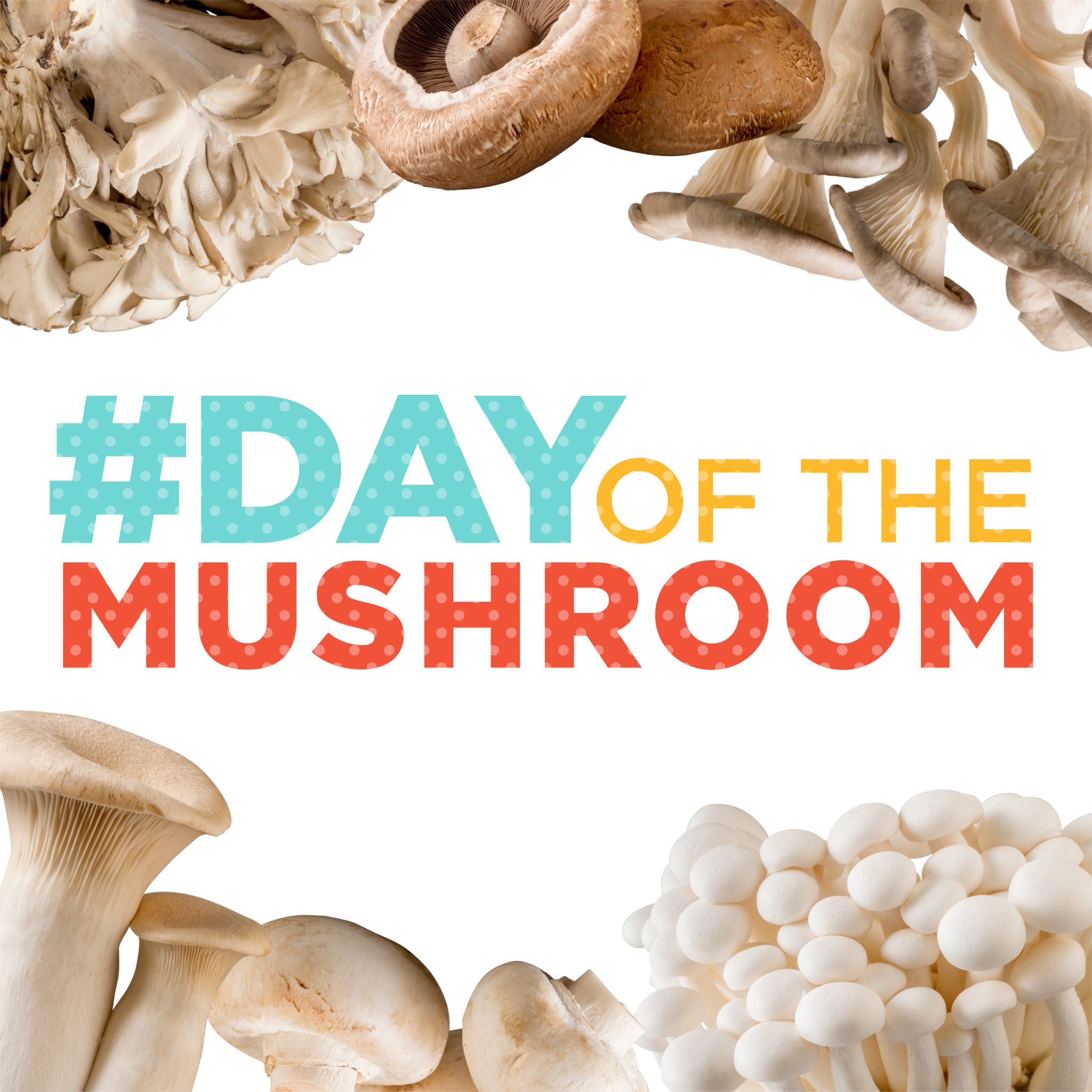 mushroom day Archives Mushroom Council