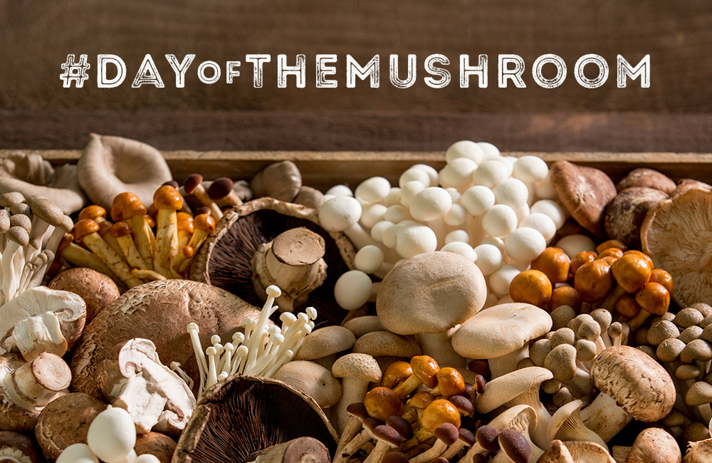 Happy National Day Of The Mushroom! 633