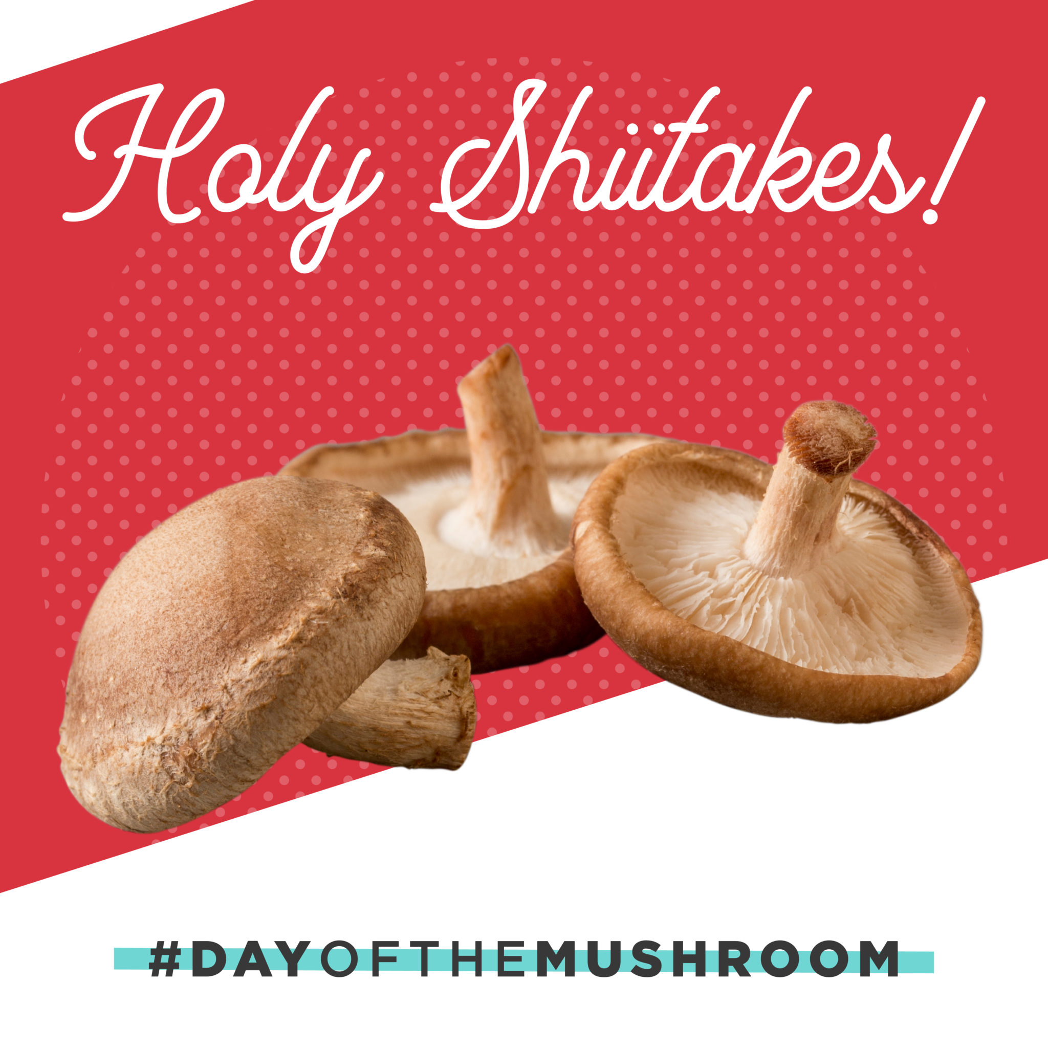 Happy National Day of the Mushroom!